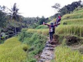 Tanpa Petani Kita Makan Apa?