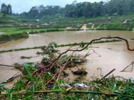 HUJAN TERCURAH,, BANYAK PETANI MERUGI