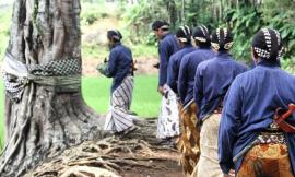 Misteri Kampung Pitu Nglanggeran Gunungkidul
