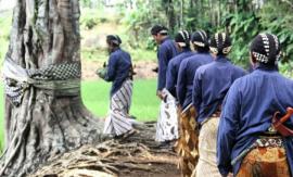 Tradisi dan Pantangan di Kampung Pitu yang Masih di Jaga