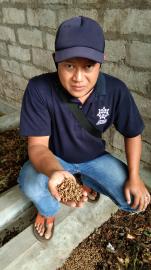 BUMDES Tunas Mandiri Mengembangkan Sayap Memelihara Maggot