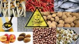 Informasi Racun Pada Bahan Makanan