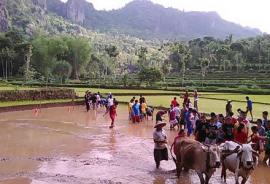 Belajar Bertani di Nglanggeran